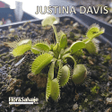 D.M. JUSTINA DAVIS