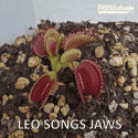 D.M. LEO SONGS JAWS