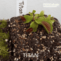 D.M. TITAN