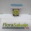 PACK DE SEMILLAS DE DROSERA DIELSIANA x 20 UND.