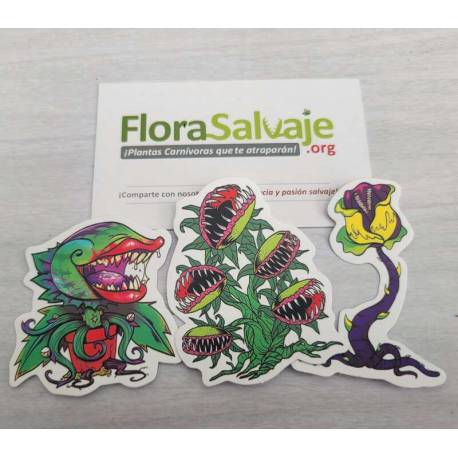 STICKERS PLANTAS CARNIVORAS