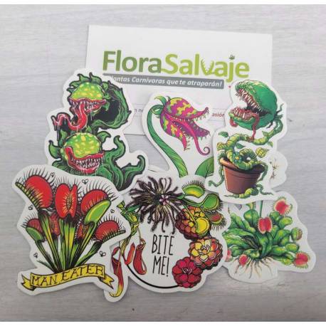 STICKERS PLANTAS CARNIVORAS
